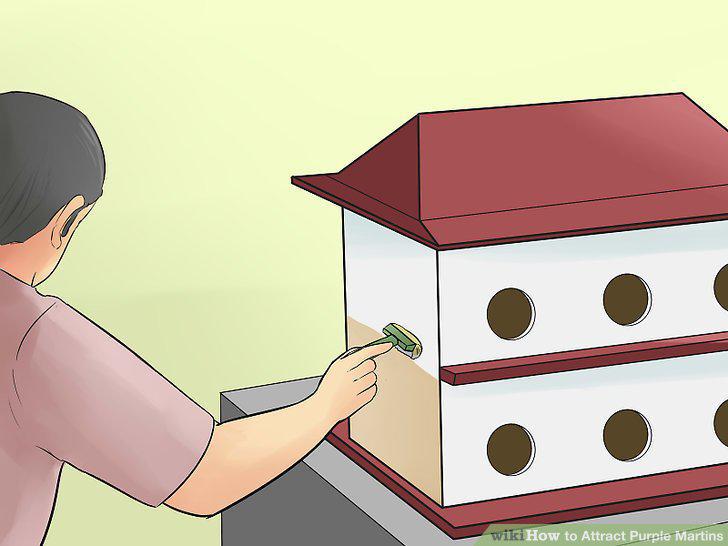 Step 8