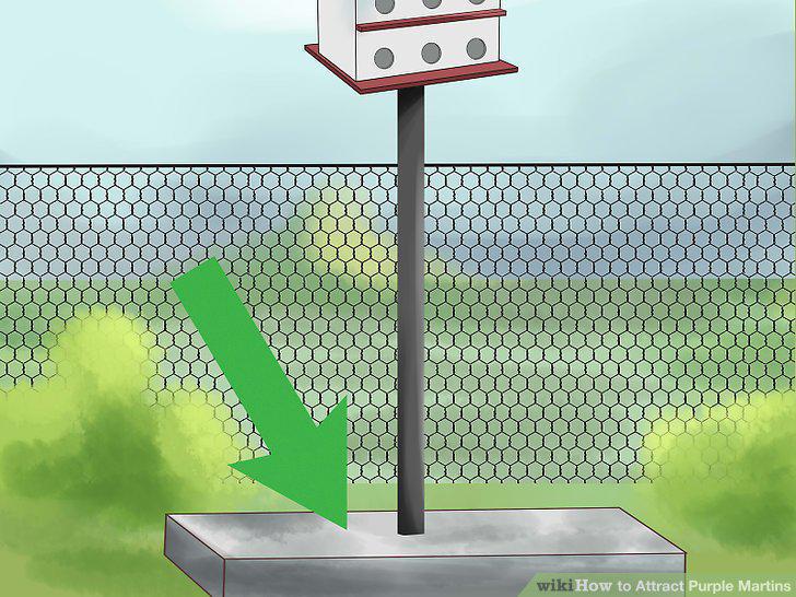 Step 10