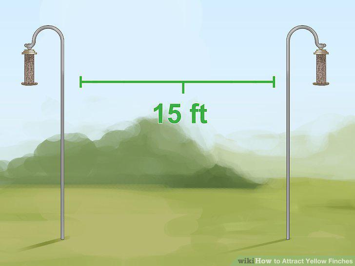 Step 11