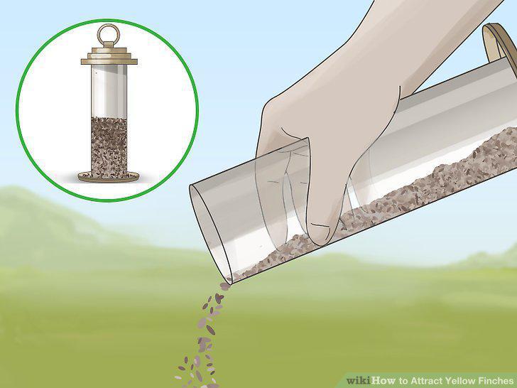 Step 12
