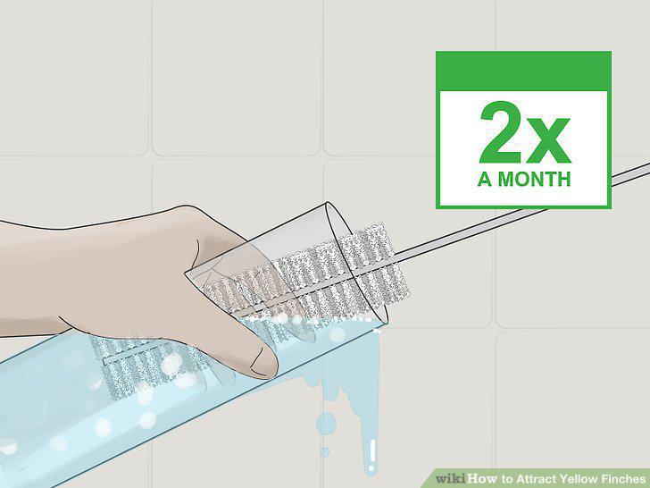 Step 13