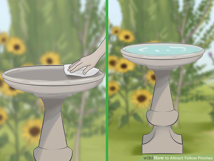 Step 14