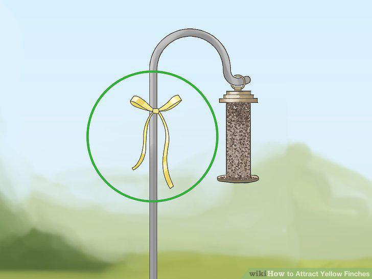 Step 15