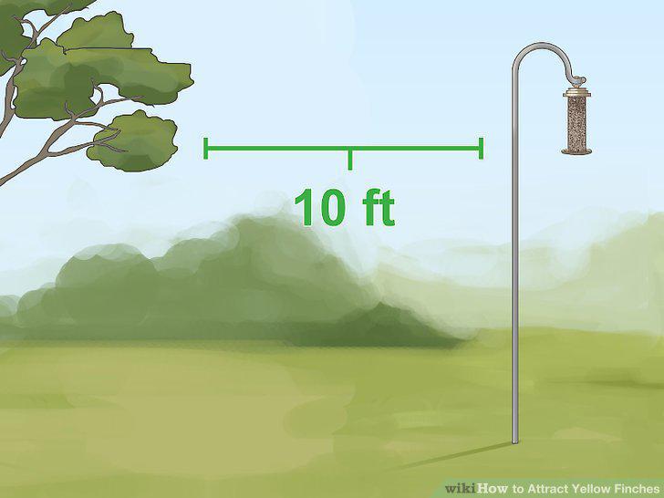 Step 10