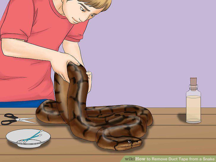 Step 11