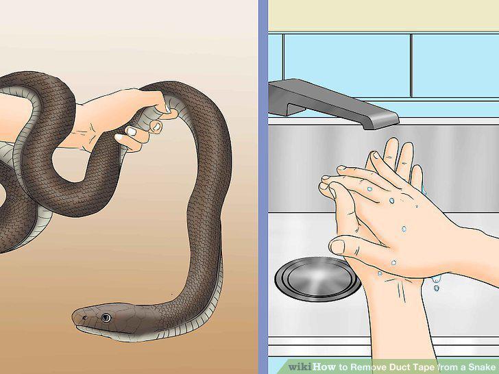 Step 14