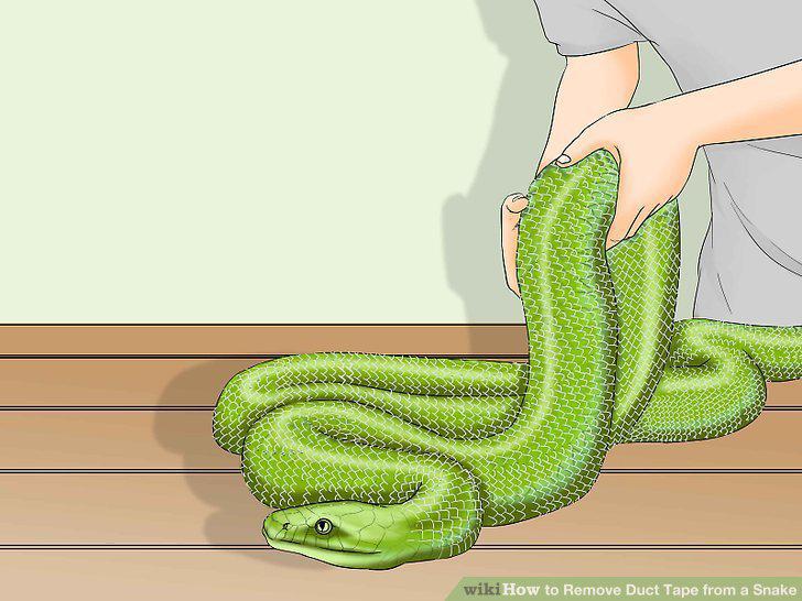 Step 4