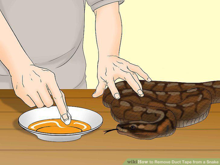 Step 6