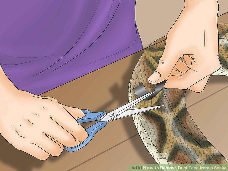 Step 9