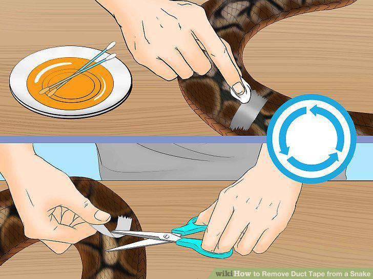 Step 10