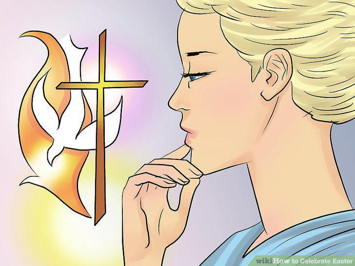 Step 15