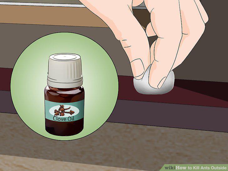 Step 11