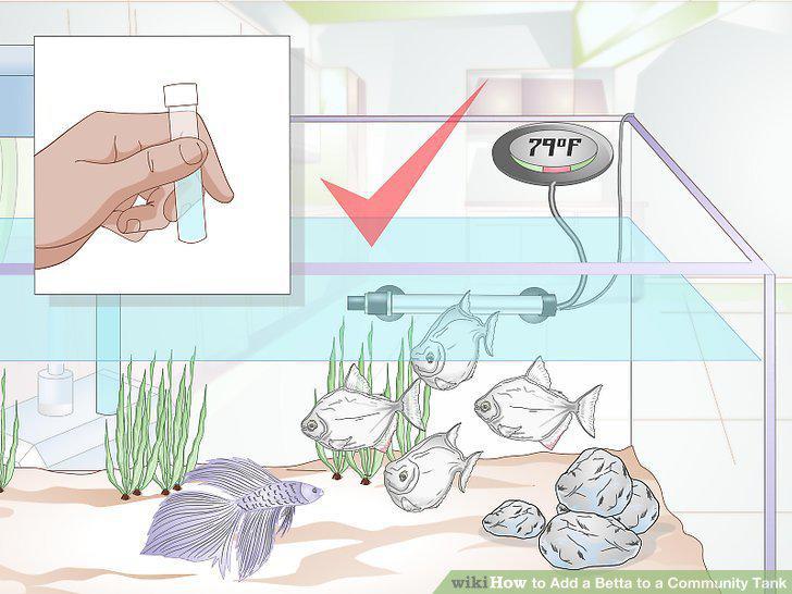 Step 15