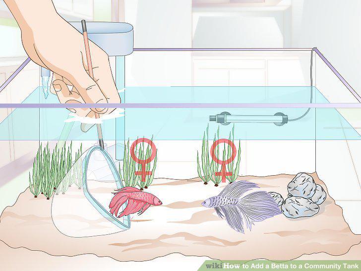 Step 8