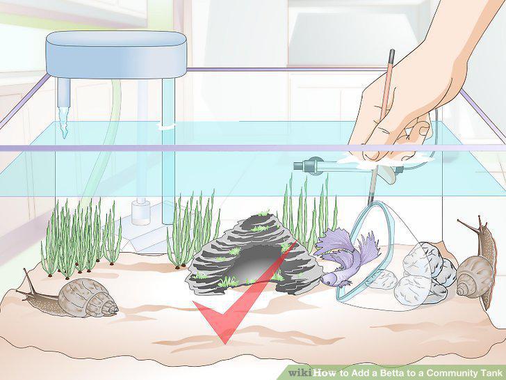 Step 9