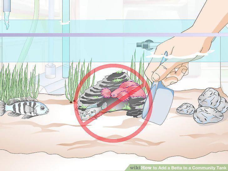 Step 10