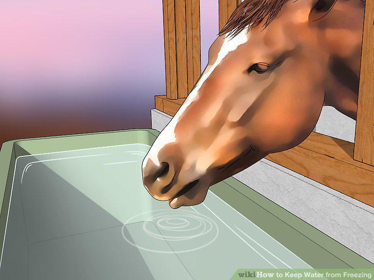 Step 12