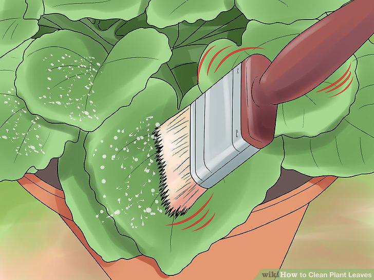 Step 2