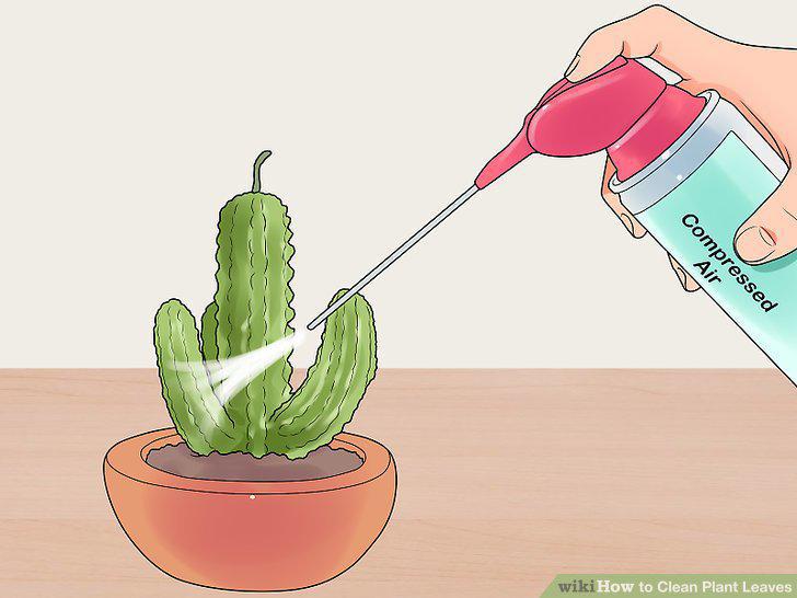 Step 5