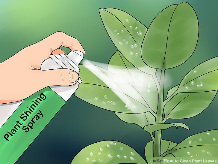 Step 8