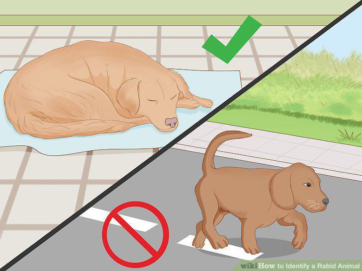 Step 12