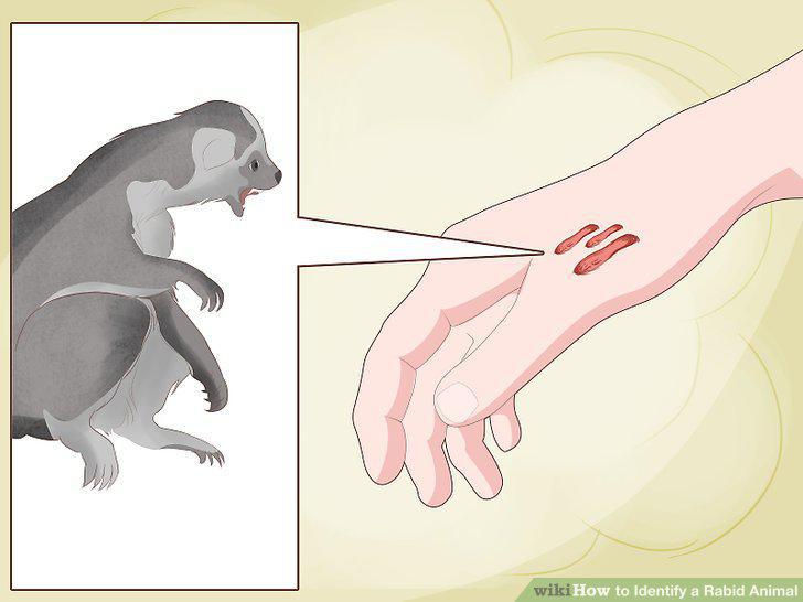Step 8