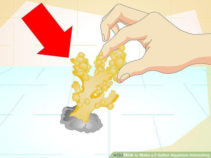 Step 2