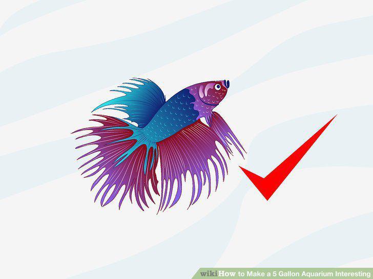 Step 12