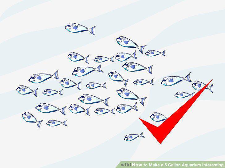 Step 13
