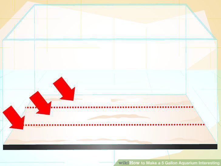 Step 15
