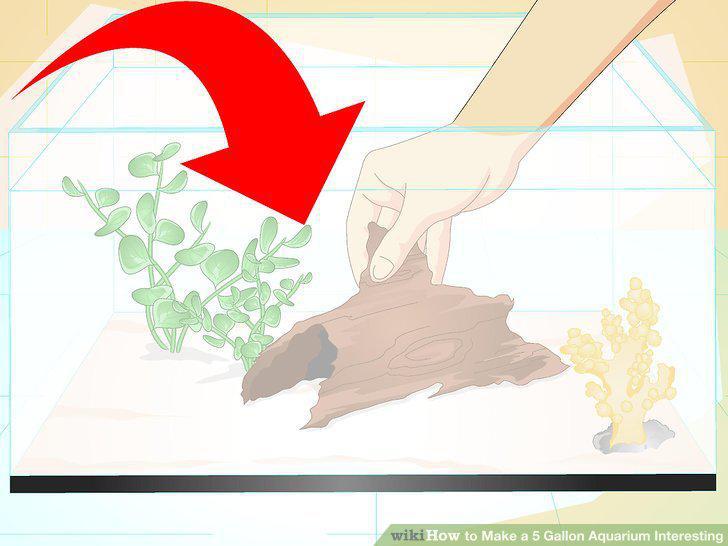 Step 16