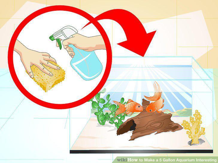 Step 18