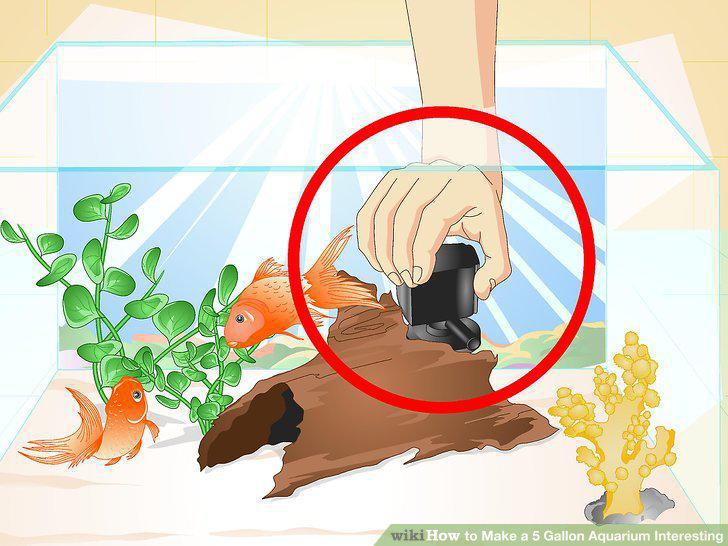 Step 19