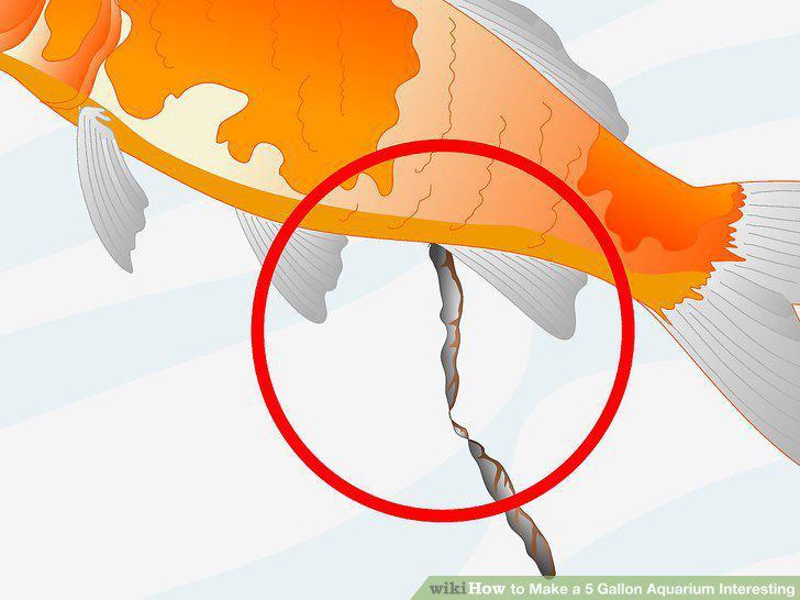 Step 10