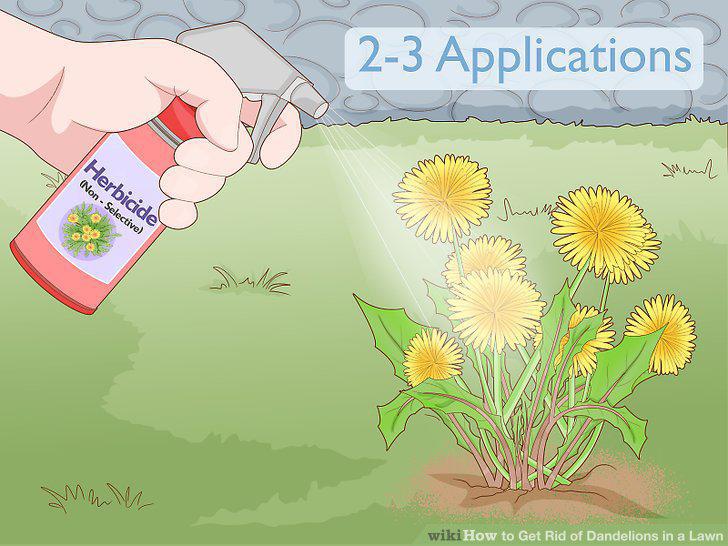 Step 11
