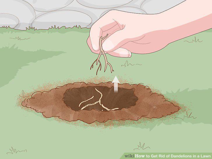Step 5