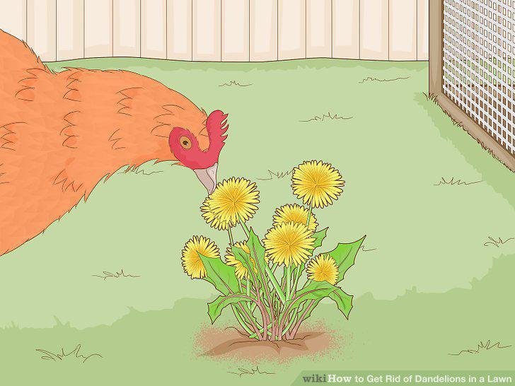 Step 9
