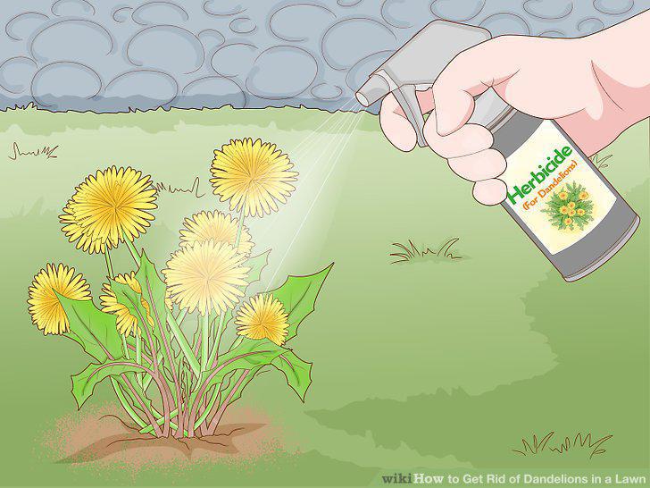 Step 10