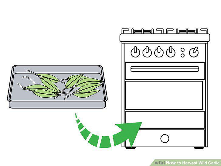 Step 12