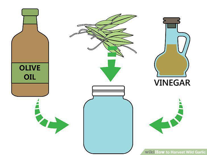 Step 13