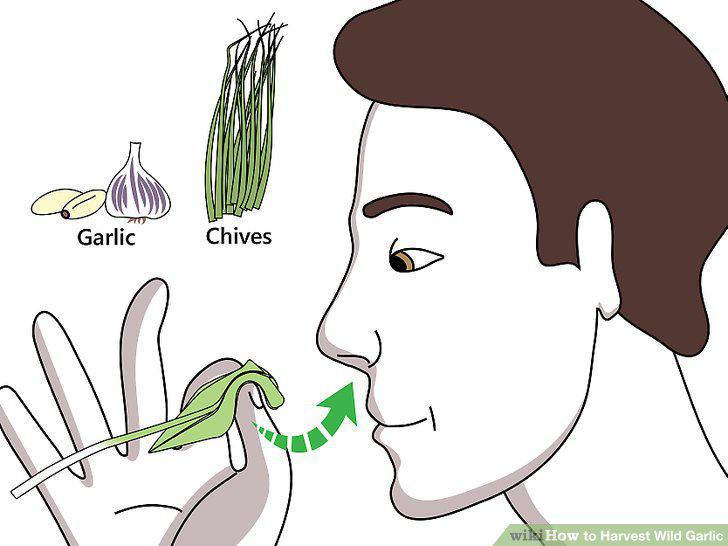 Step 4