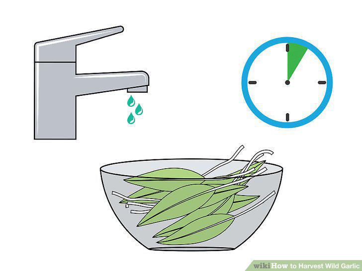 Step 9