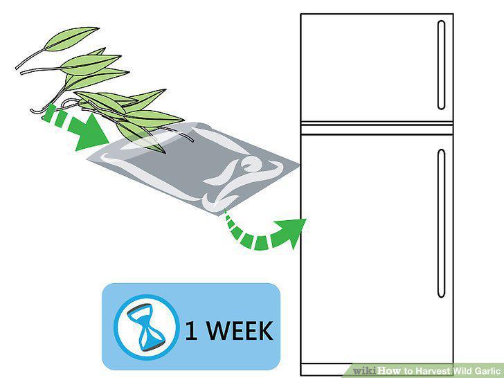 Step 10