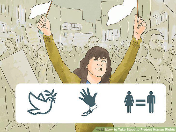 Step 7