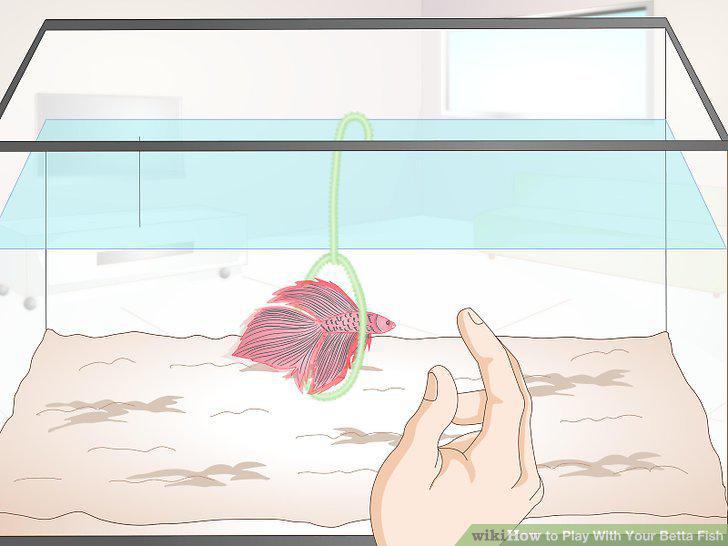 Step 8