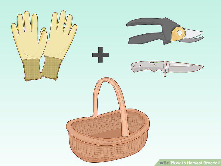 Step 5