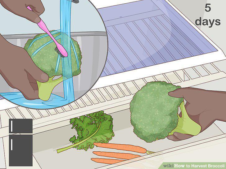 Step 8