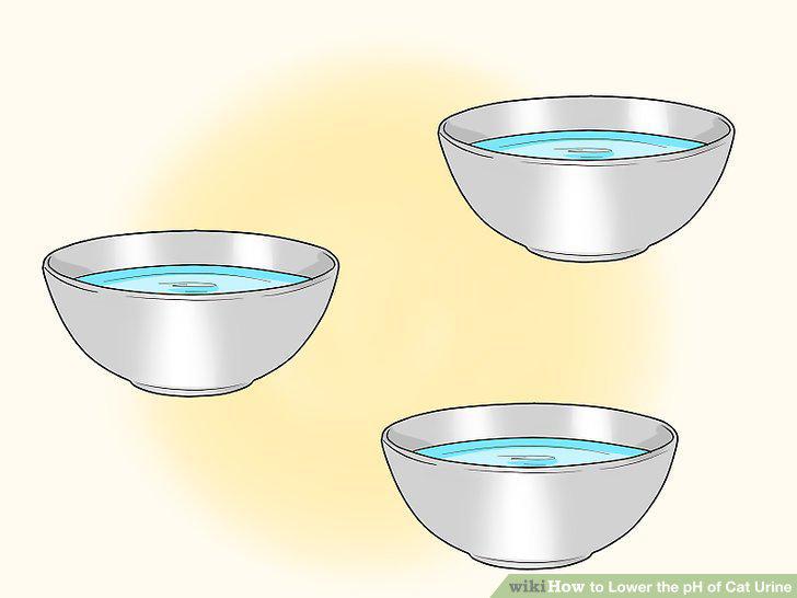 Step 6