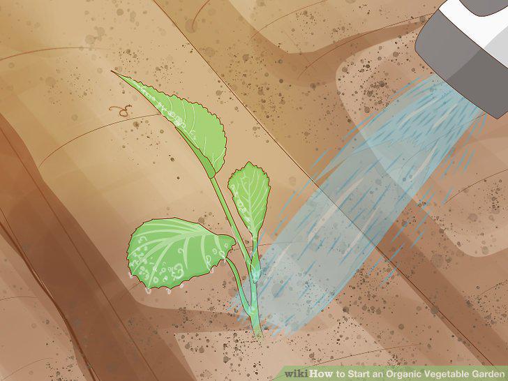 Step 14