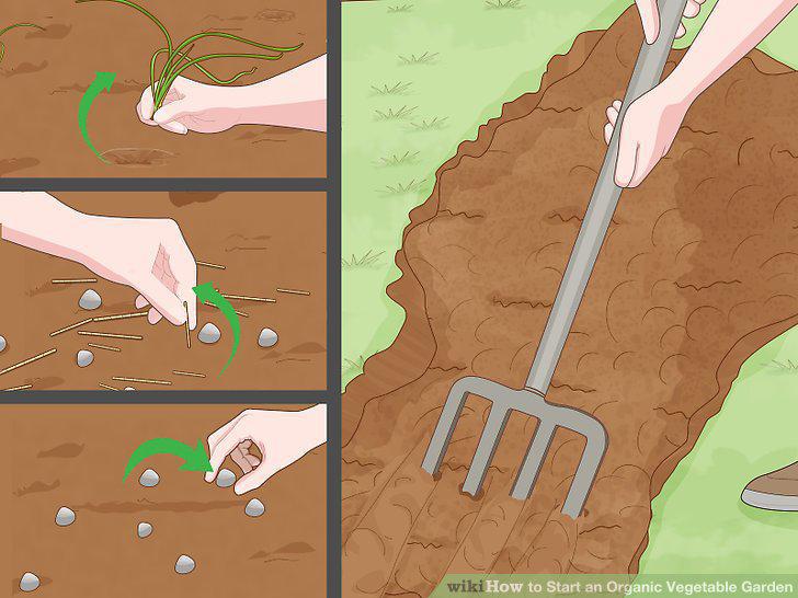 Step 9